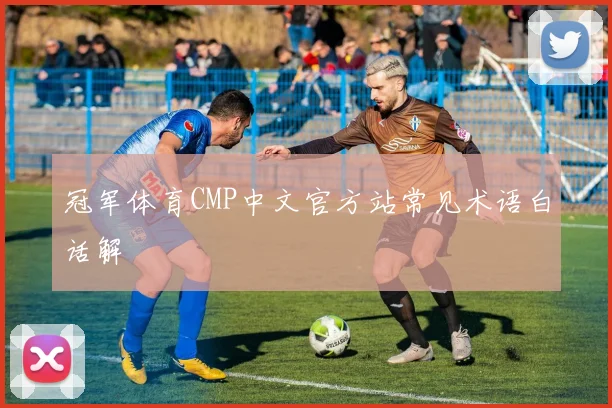 冠军体育CMP中文官方站常见术语白话解
