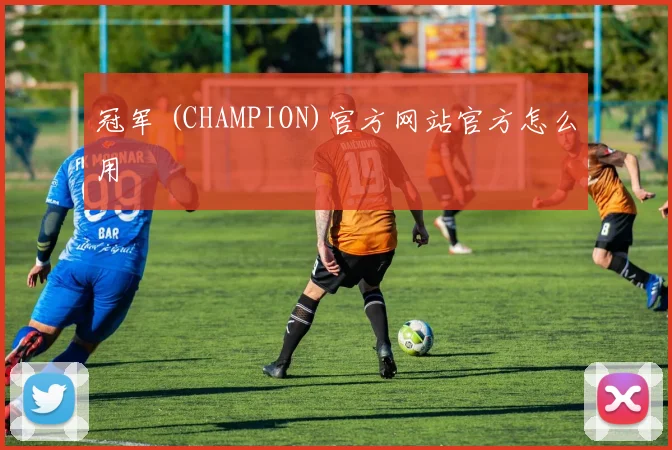 冠军 (CHAMPION)官方网站官方怎么用